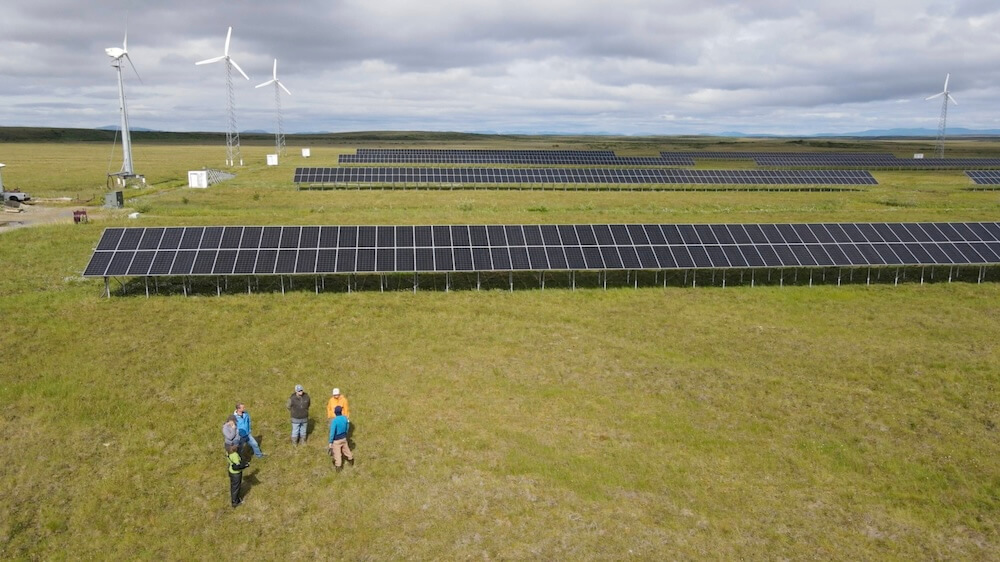 Six people talking in a field of solar panels